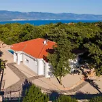 Stunning In Zestilac